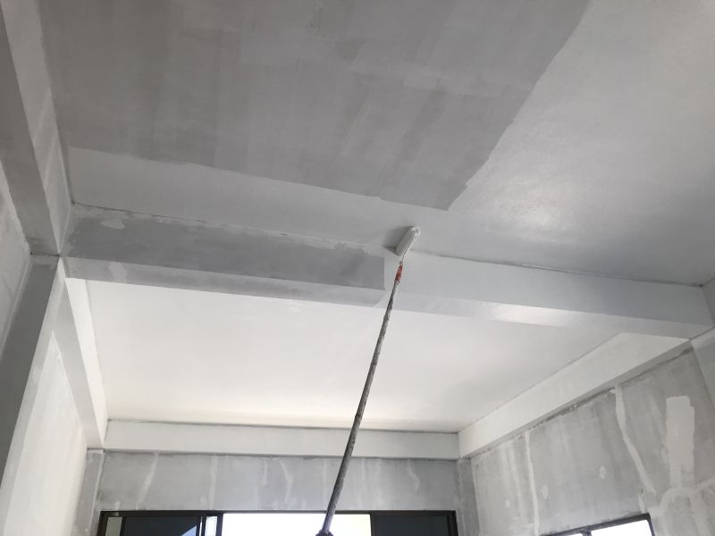 House Ceiling Painting in Kansas City, KS