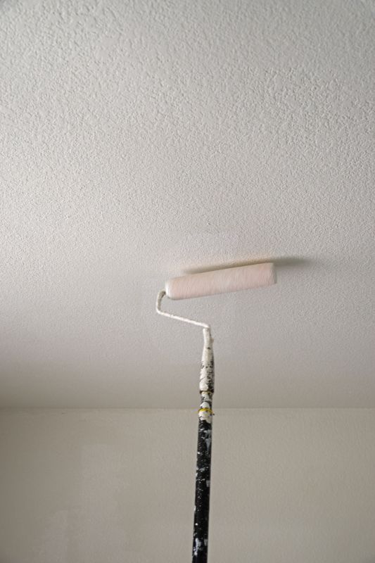 Popcorn Ceiling Painting in Kansas City, KS