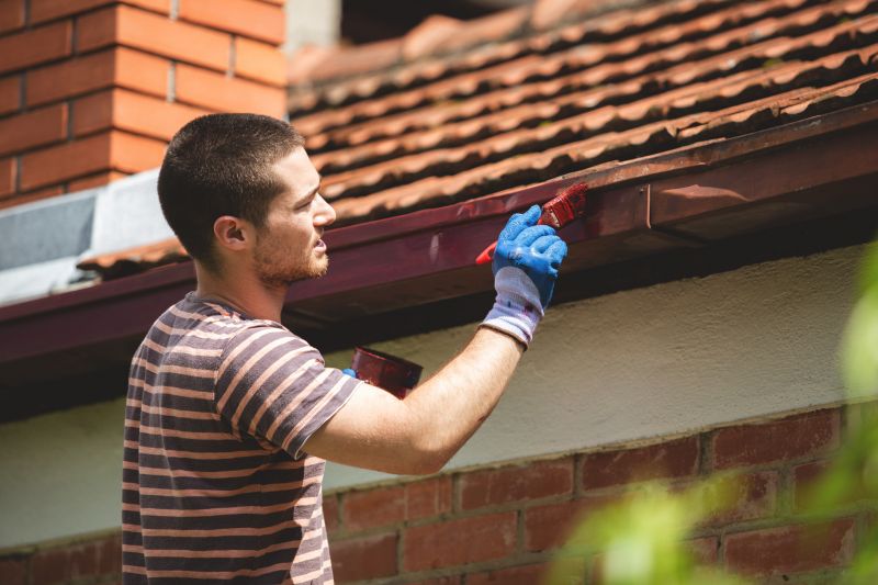 Soffit Painting in Fort Collins, CO